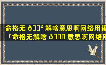 命格无 🌲 解啥意思啊网络用语「命格无解啥 🐟 意思啊网络用语怎么说」